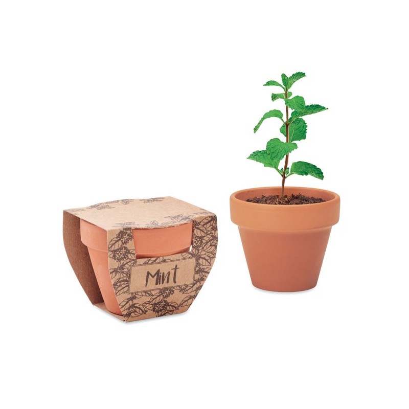 MINT POT